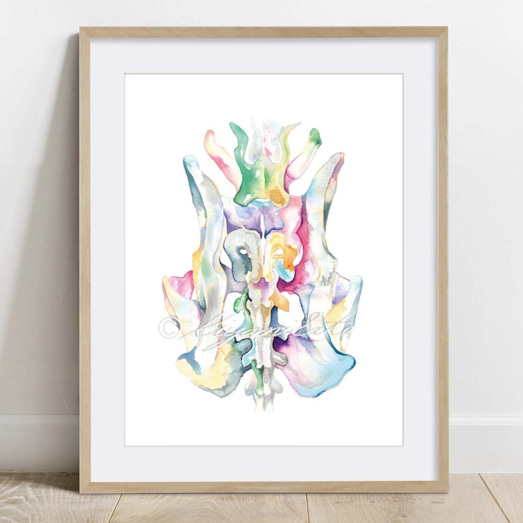 Dog Orthopedics Art poster set of 6