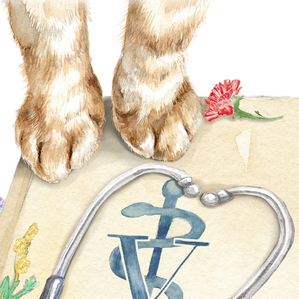 Veterinary Art Print decor