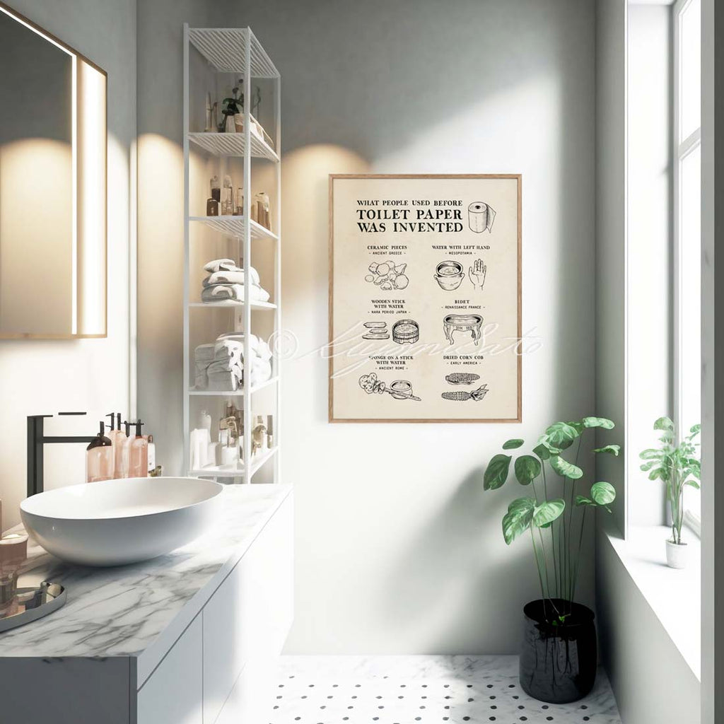 What People Used Before Toilet Paper Was Invented