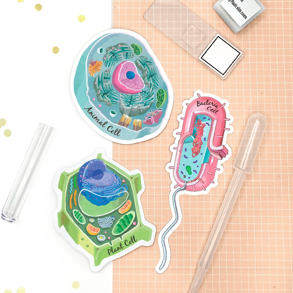 Cell Sticker Set of 3, Animal Cell, Bacteria Cell, Plant Cell Vinyl Sticker