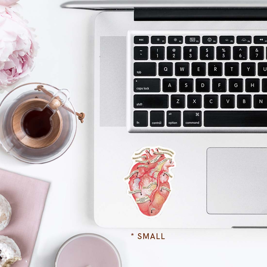 Anatomical Human Heart Vinyl Sticker – The Forest Cloak