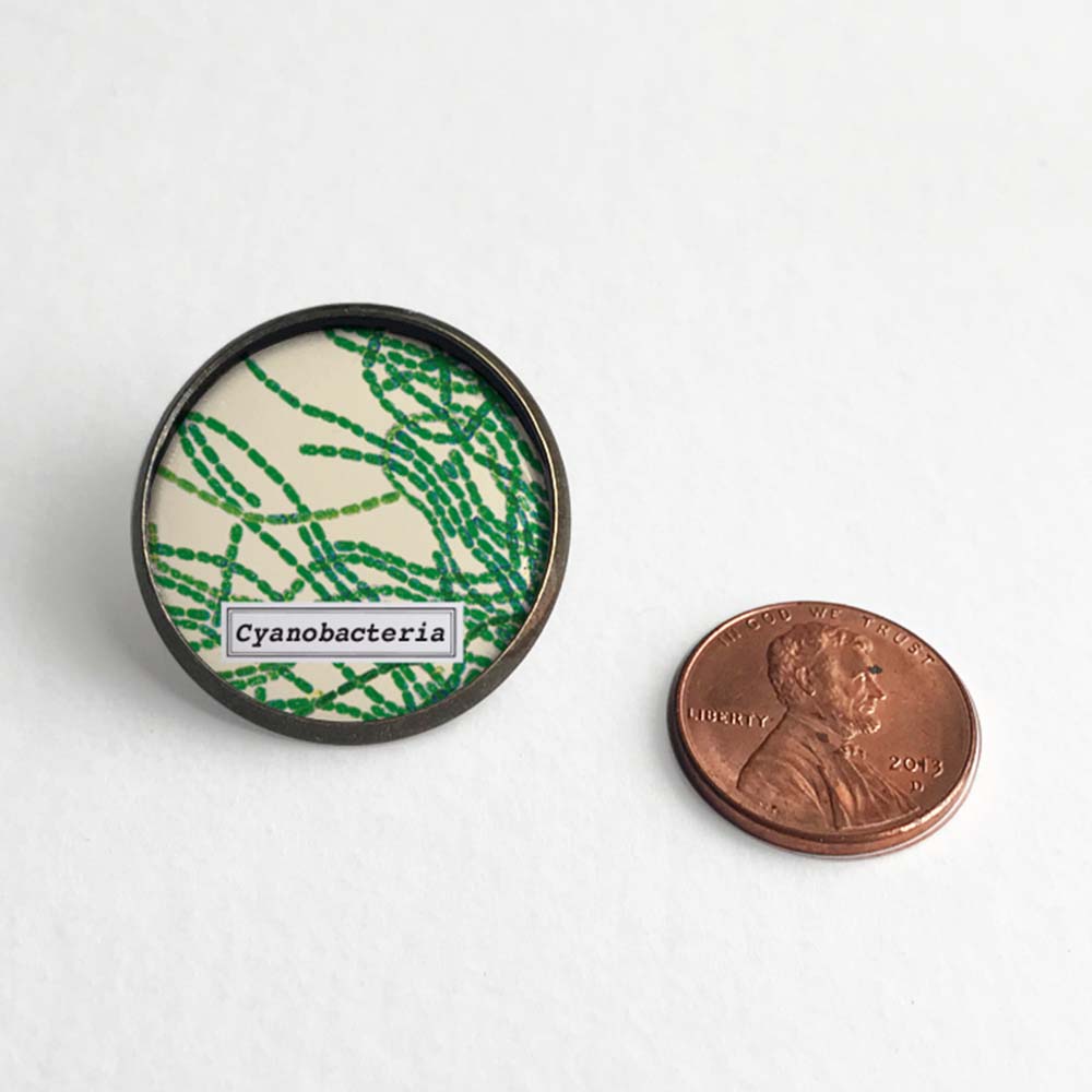 Cyanobacteria Lapel Pin