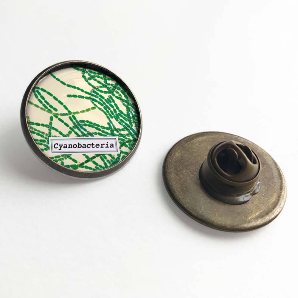 Cyanobacteria Lapel Pin