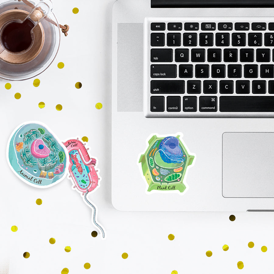 Cell Sticker Set of 3, Animal Cell, Bacteria Cell, Plant Cell Vinyl St ...