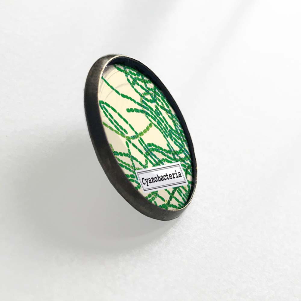 Cyanobacteria Lapel Pin