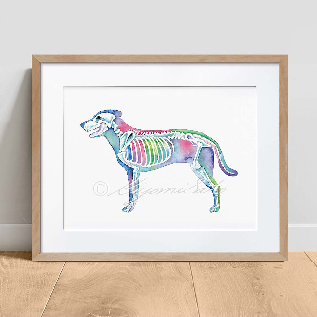 Dog Skeletal System Horizontal Art
