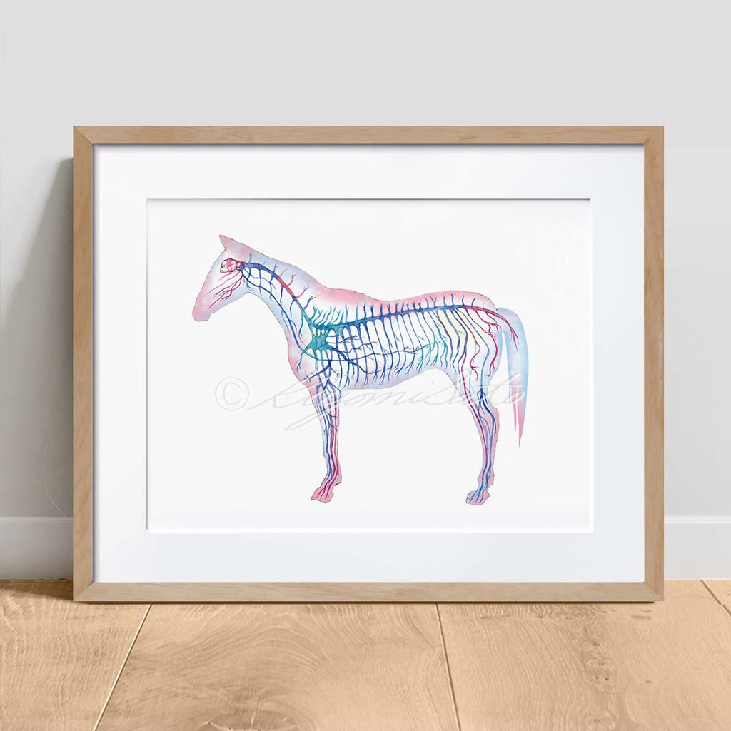 Equine Nervous System, Magenta Horizontal