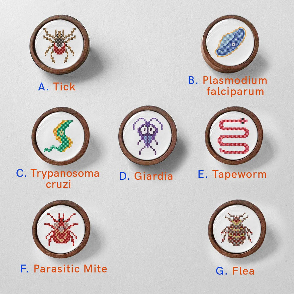 Parasite pin with wooden frame