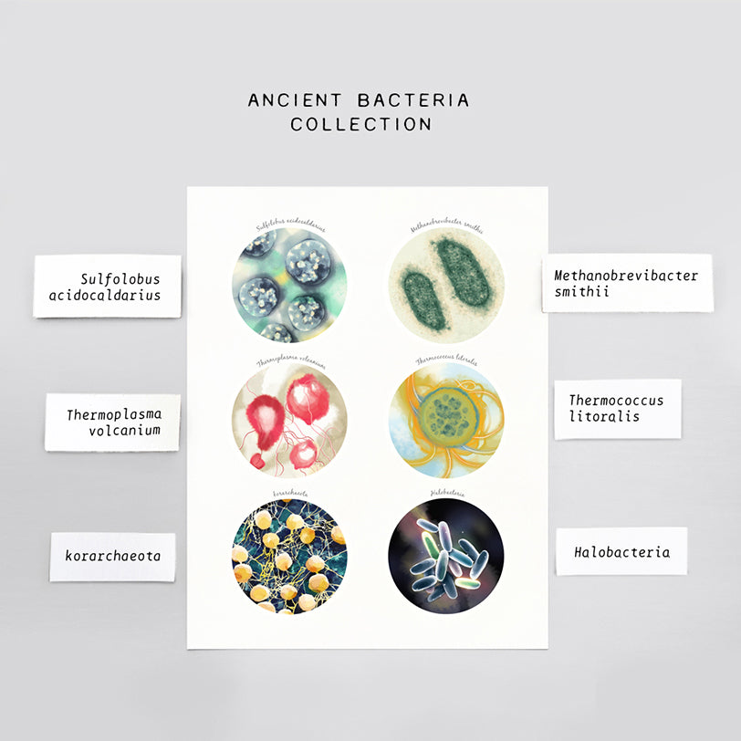 Ancient bacteria Collection