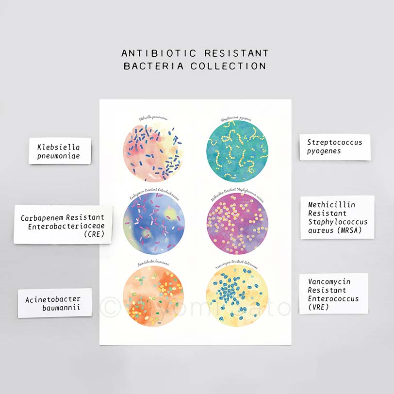 Antibiotic Resistant Bacteria Collection