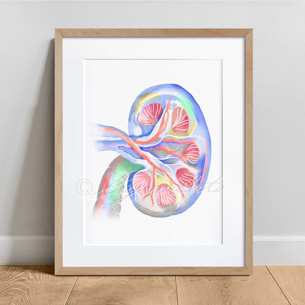 Cat Anatomy Art 4 print set