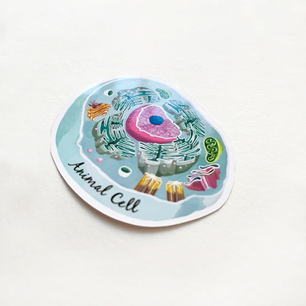 Animal Cell Cross Section Vinyl Sticker