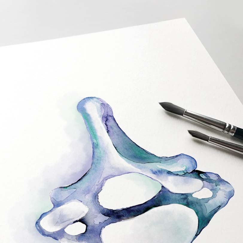 Cervical vertebra Blue abstract art poster