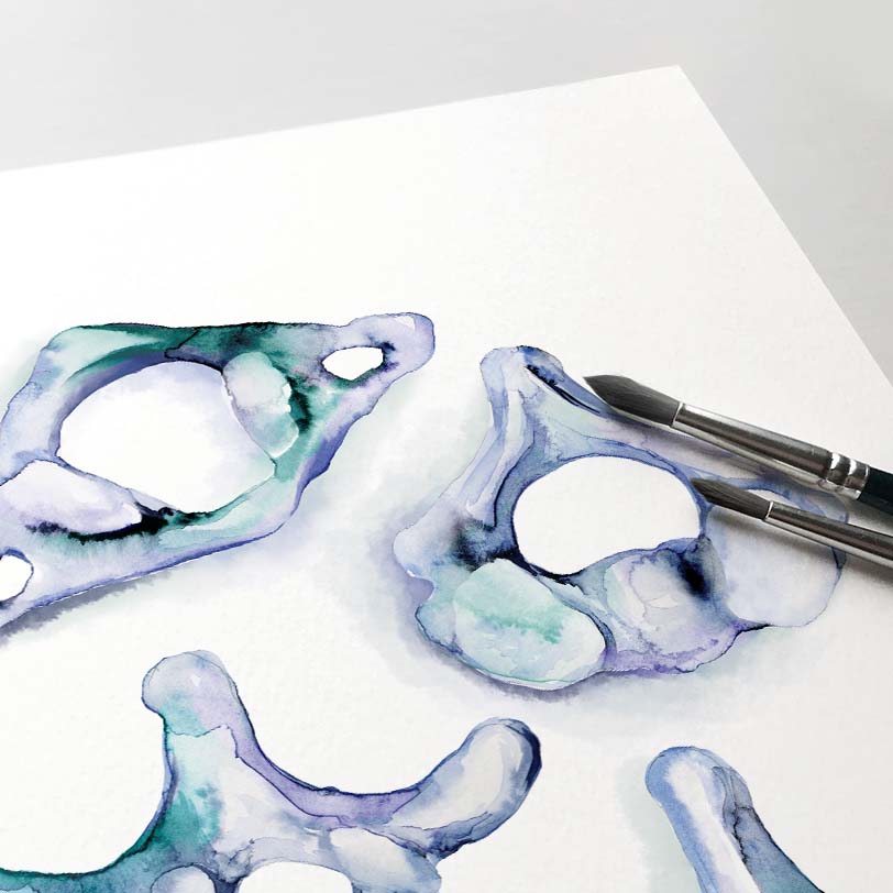 Vertebrae collection Blue Abstract