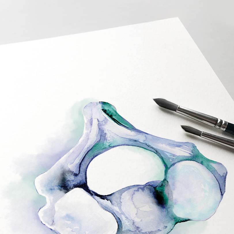 Axis vertebra Blue abstract art poster