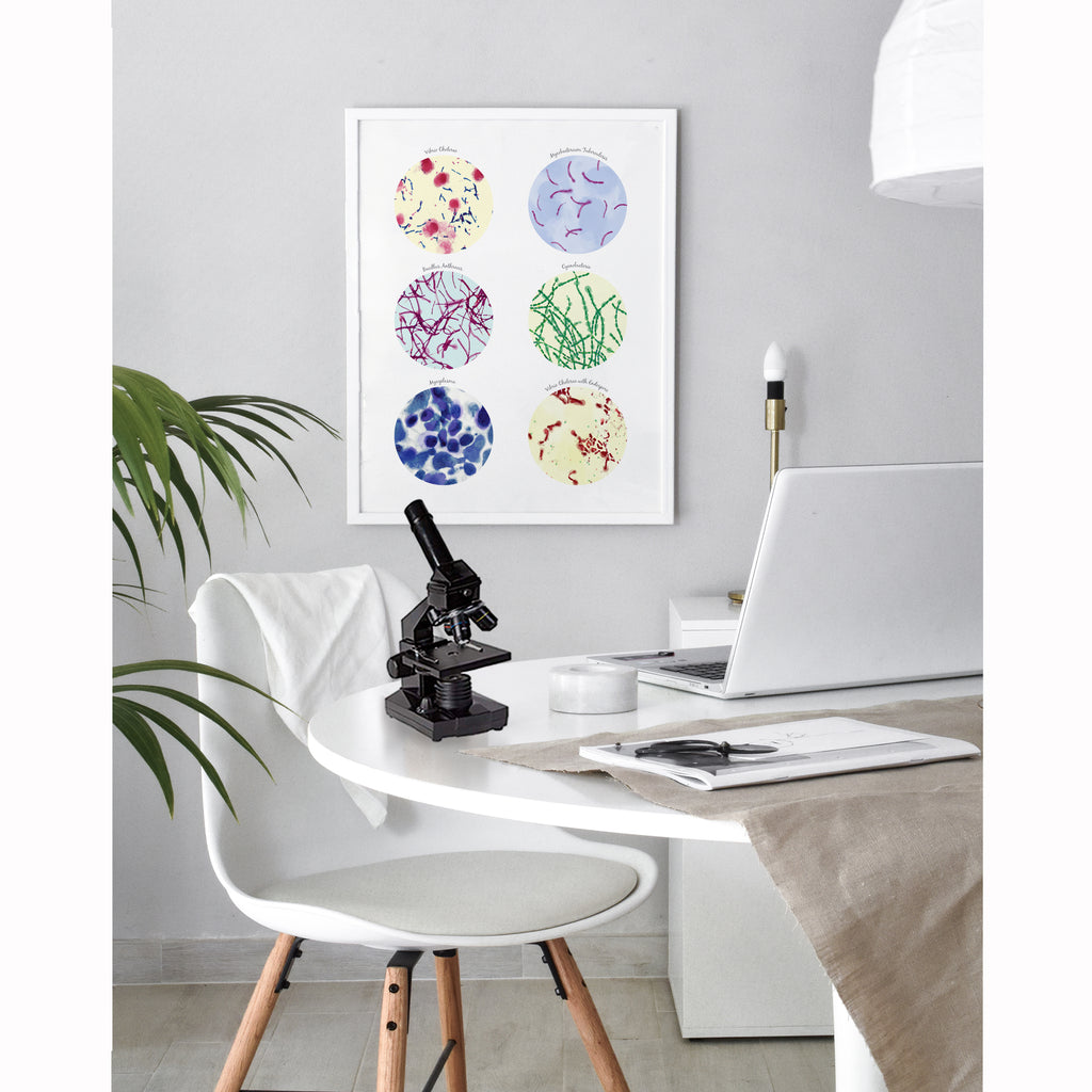 Bacteria Science Art poster  Collection