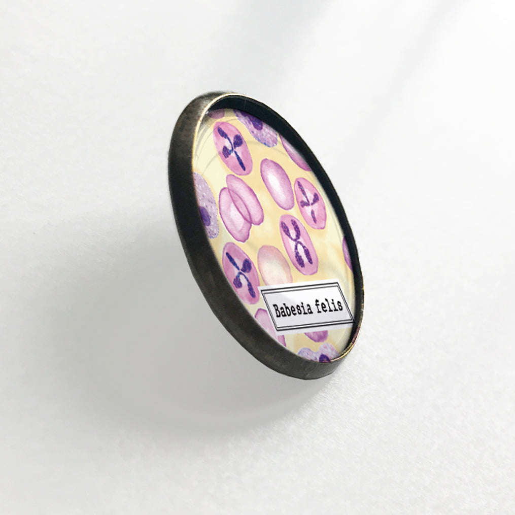 Babesia felis Lapel pin