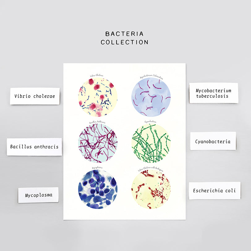 Bacteria Science Art poster  Collection