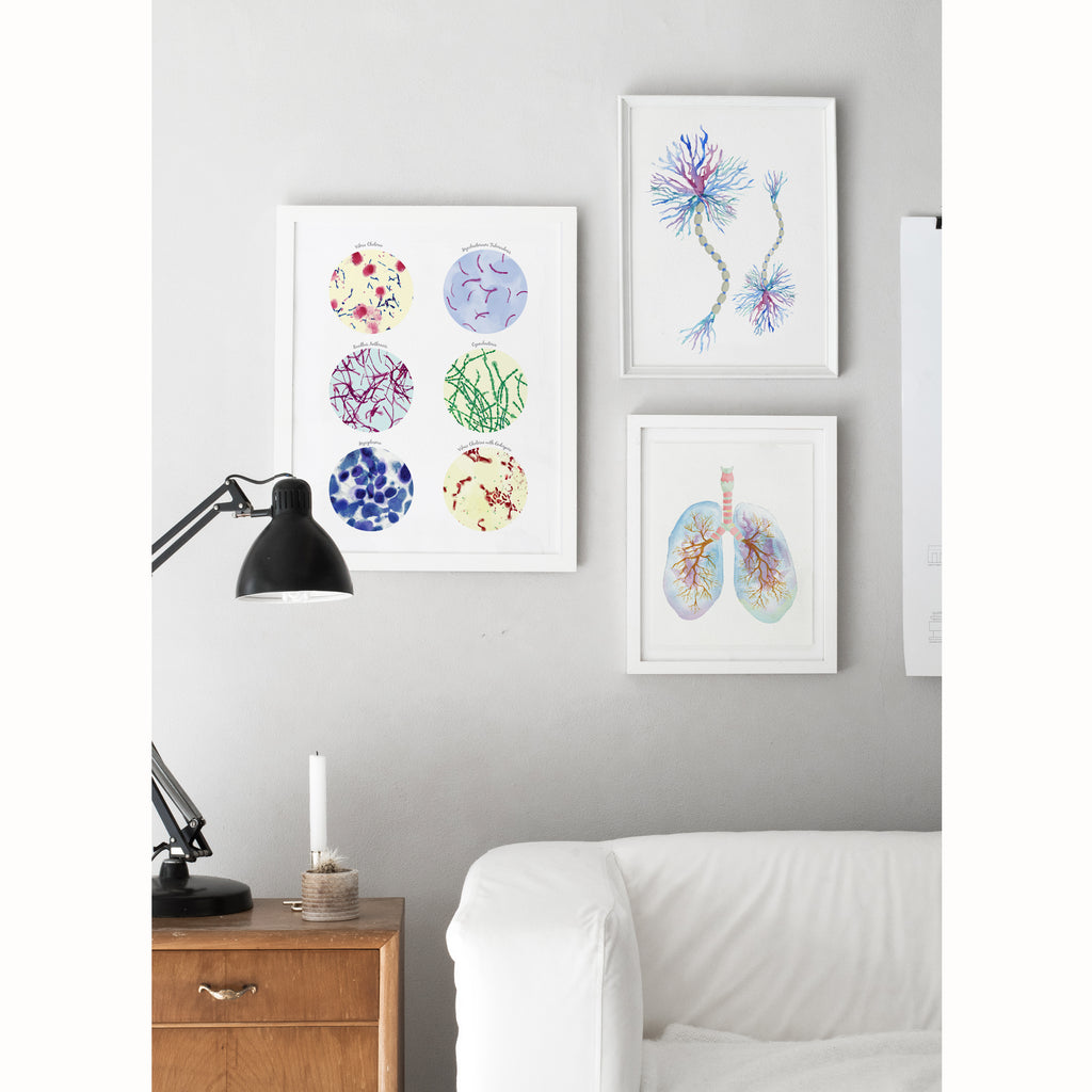 Bacteria Science Art poster  Collection