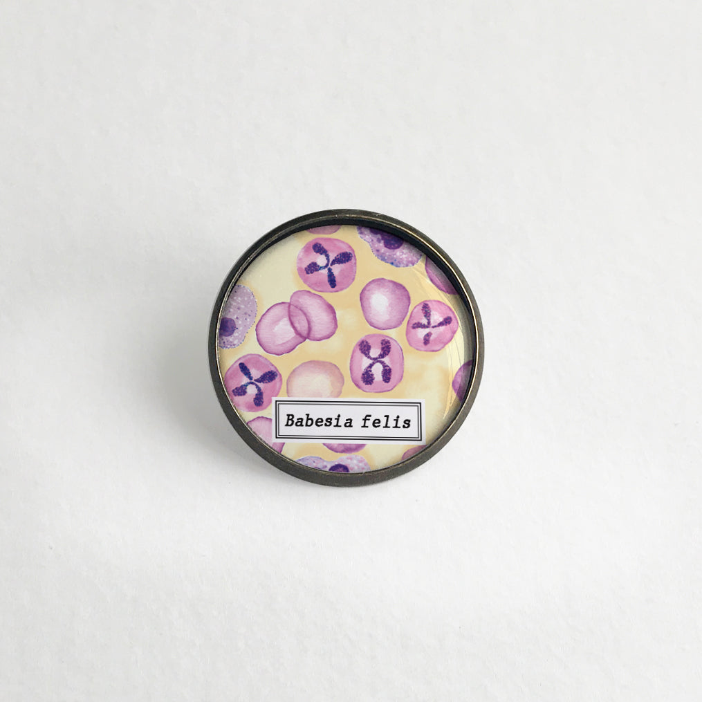 Babesia felis Lapel pin