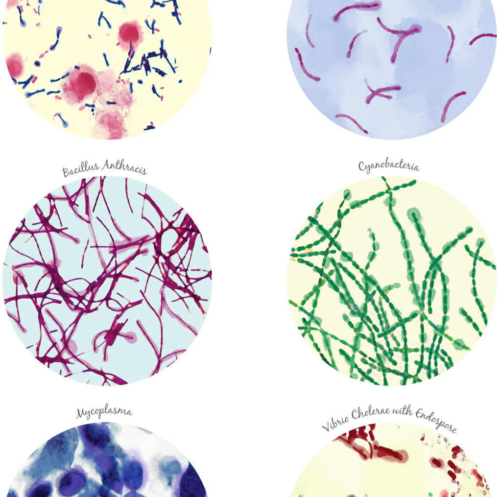 Bacteria Science Art poster  Collection
