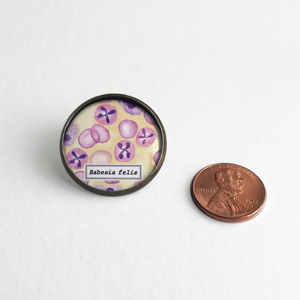 Babesia felis Lapel pin