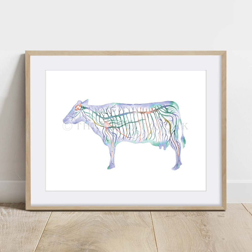 Cattle Nervous System Horizontal, Blue