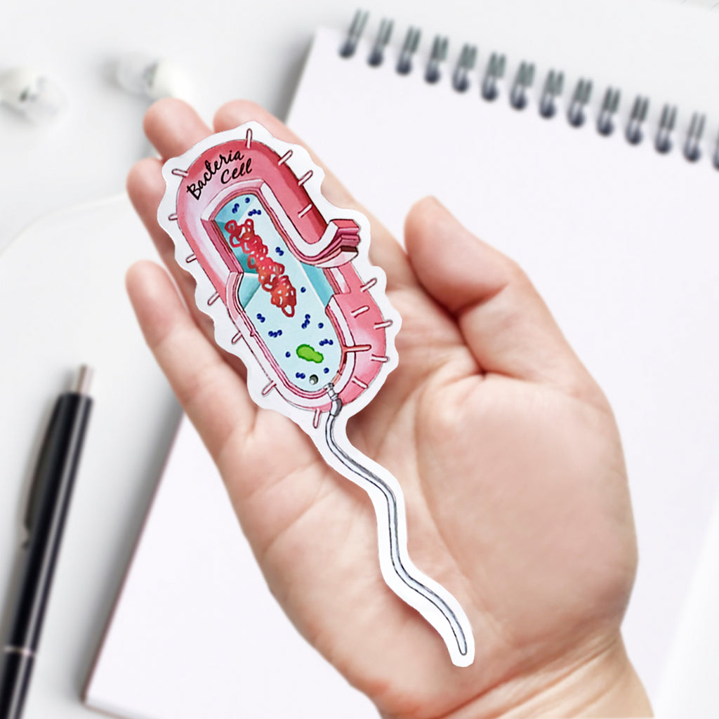 Bacteria Cell Cross Section Vinyl Sticker