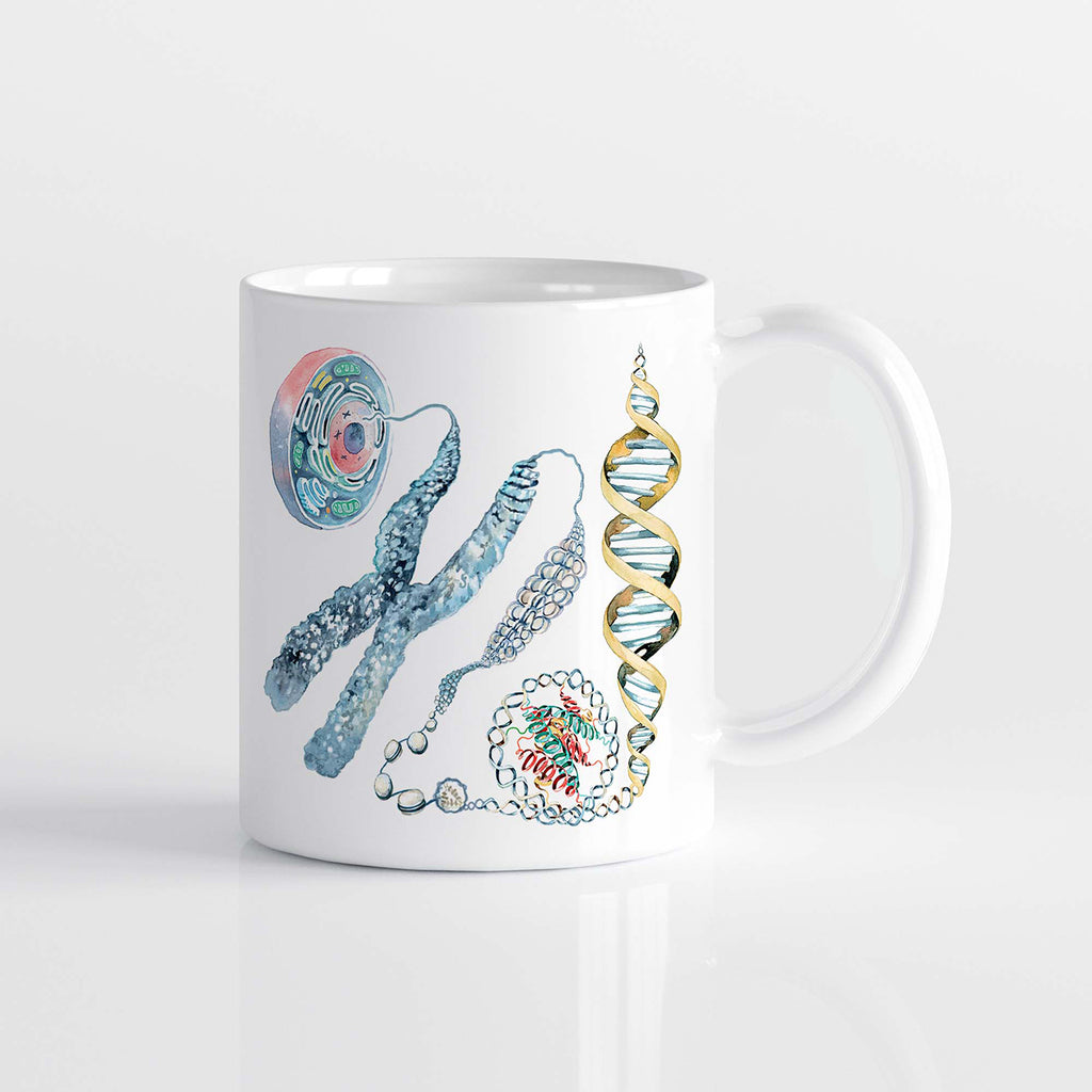 Cell to DNA mug