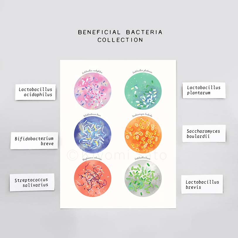 Beneficial Bacteria Collection