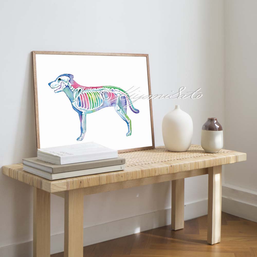 Dog Skeletal System Horizontal Art