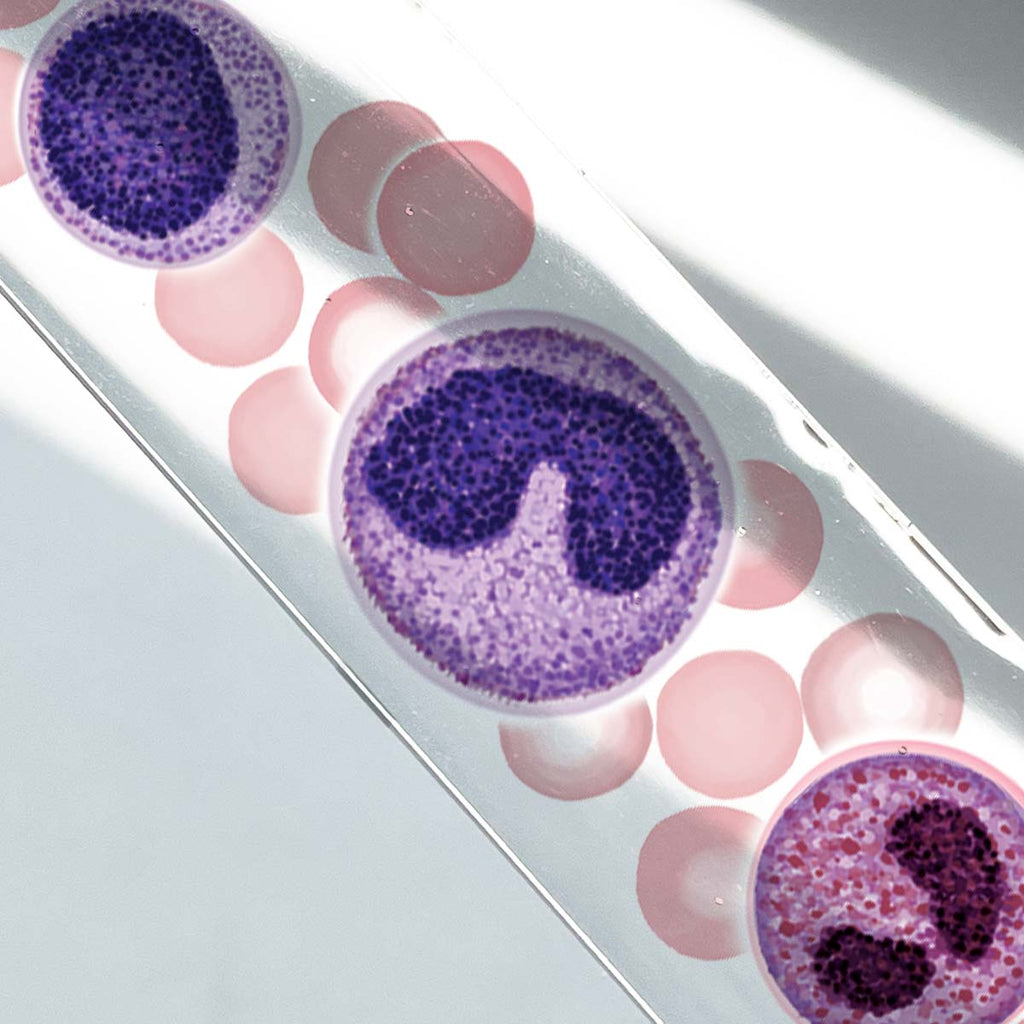 Blood Cells Bookmark