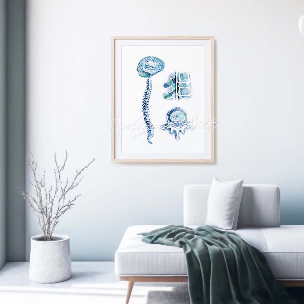 Brain and Spinal Cord Art Print