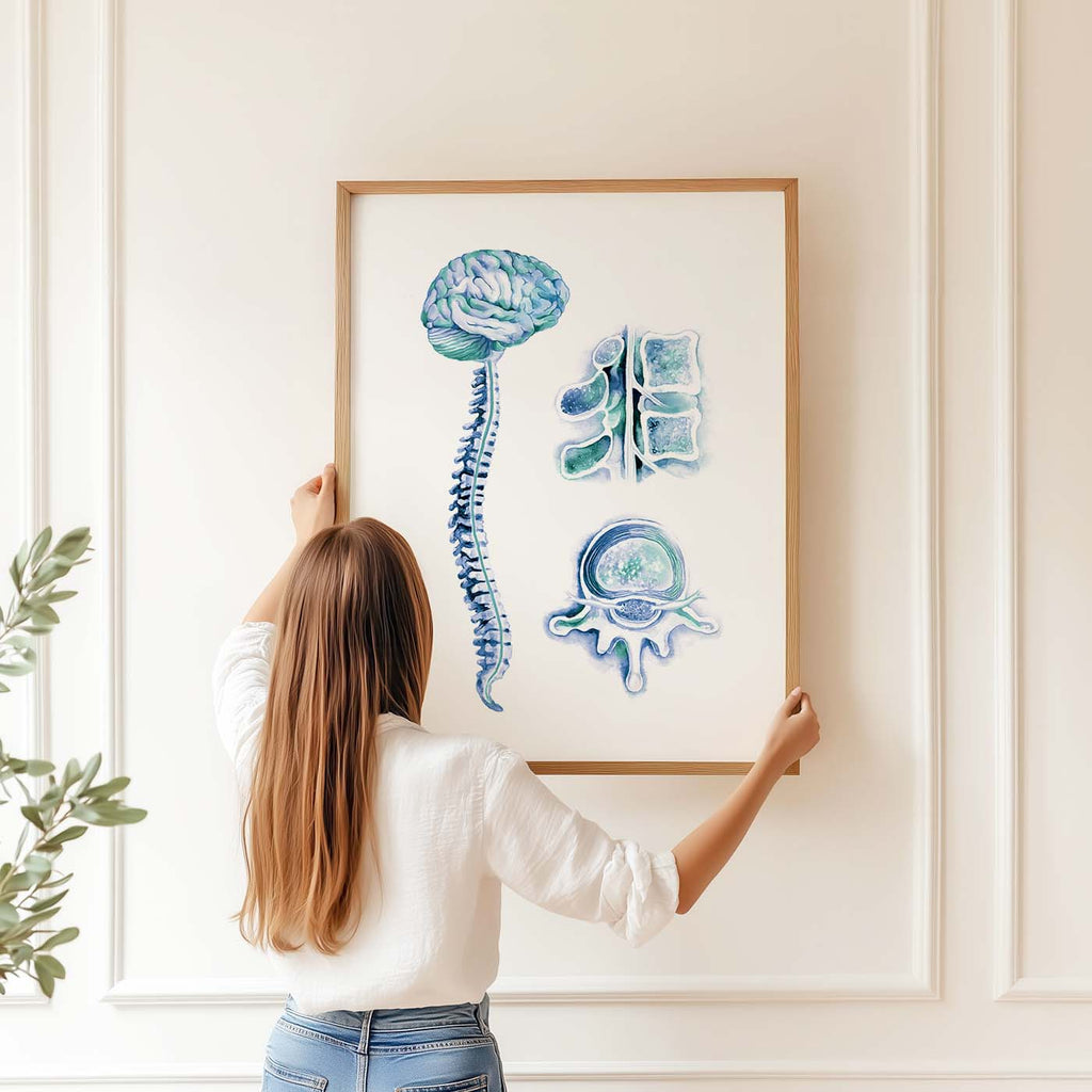 Brain and Spinal Cord Art Print