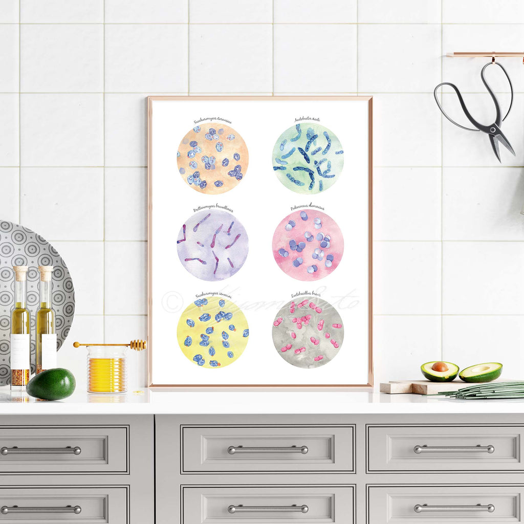 Microbiology Kitchen Art Set of 4