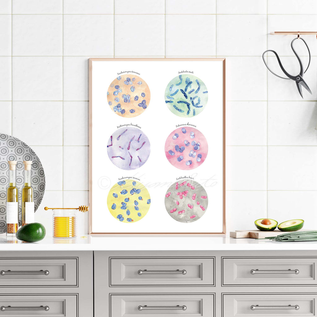 Microbiology Kitchen Art Set of 4