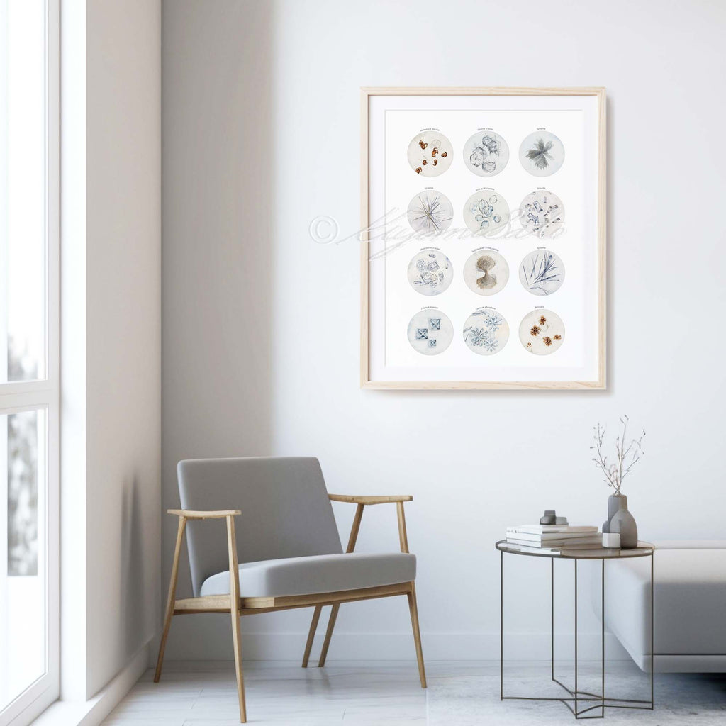 Crystals in Human Urine Collection, Science Art Poster