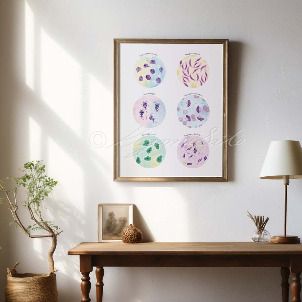 Parasitic Protozoa Collection