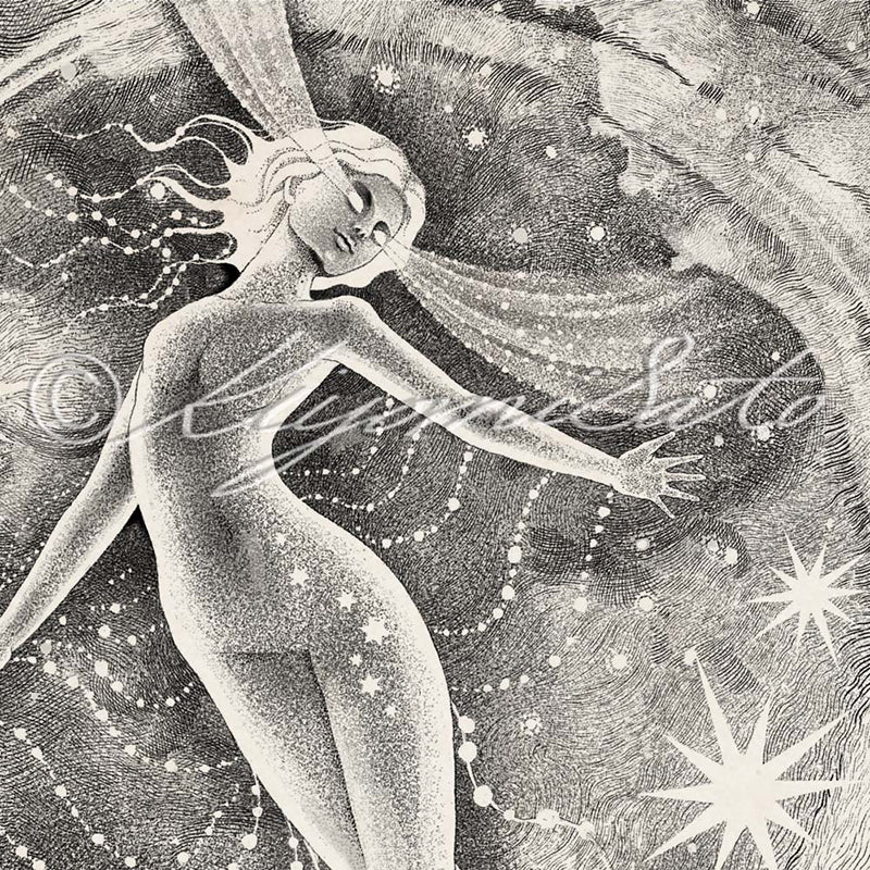 The Star Poster