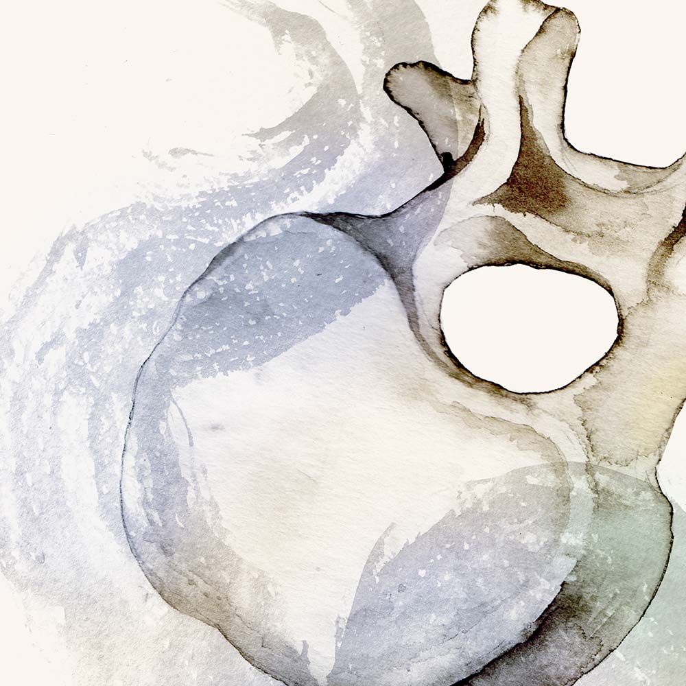 Lumbar Vertebra Abstract Art, Orthopedics Art