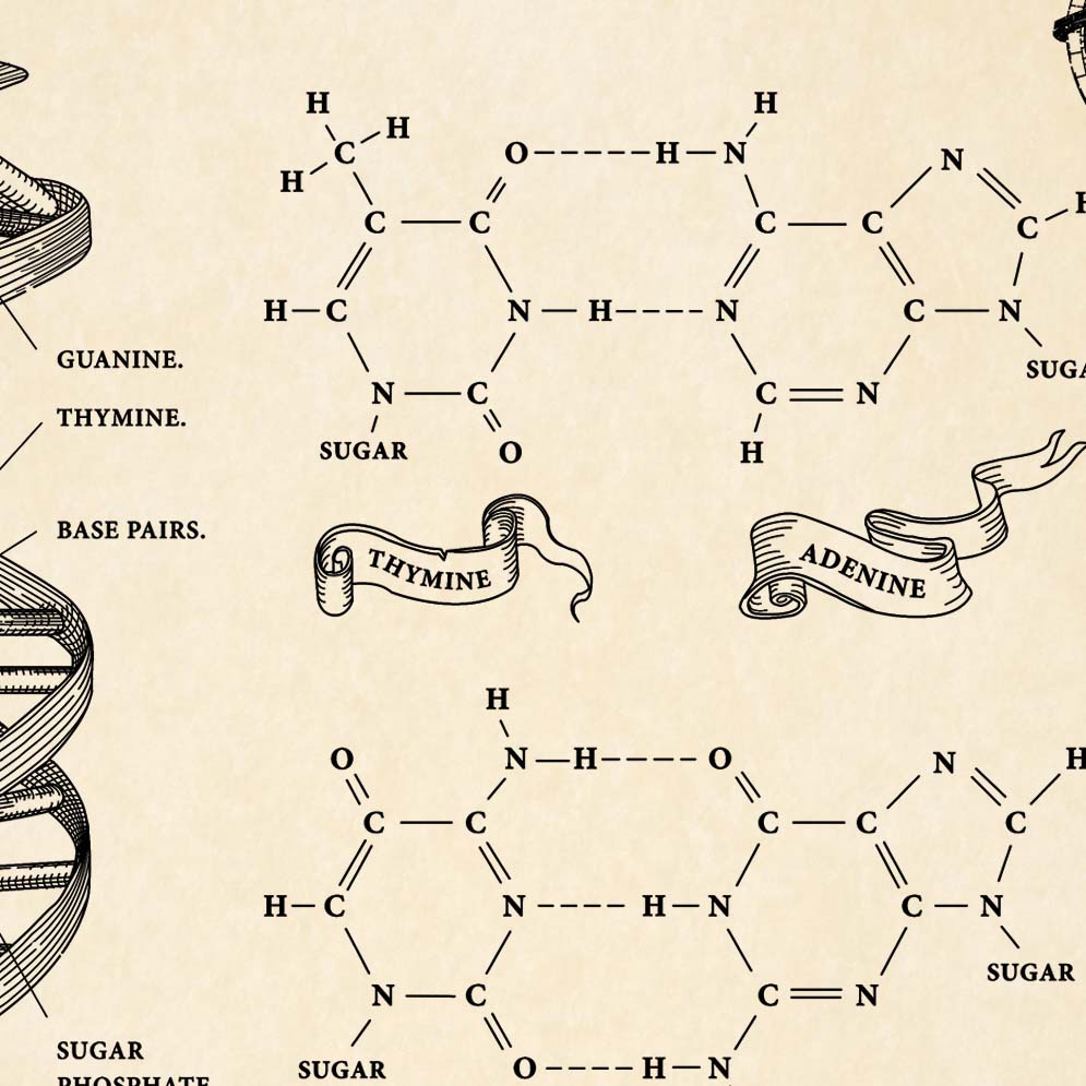 Medieval Style DNA with Chemical structure