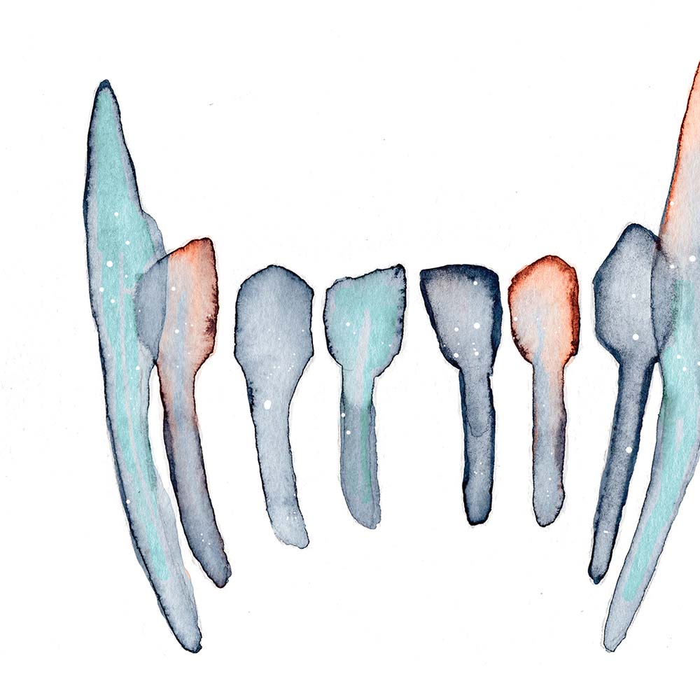 Canine mandibular Tooth Art