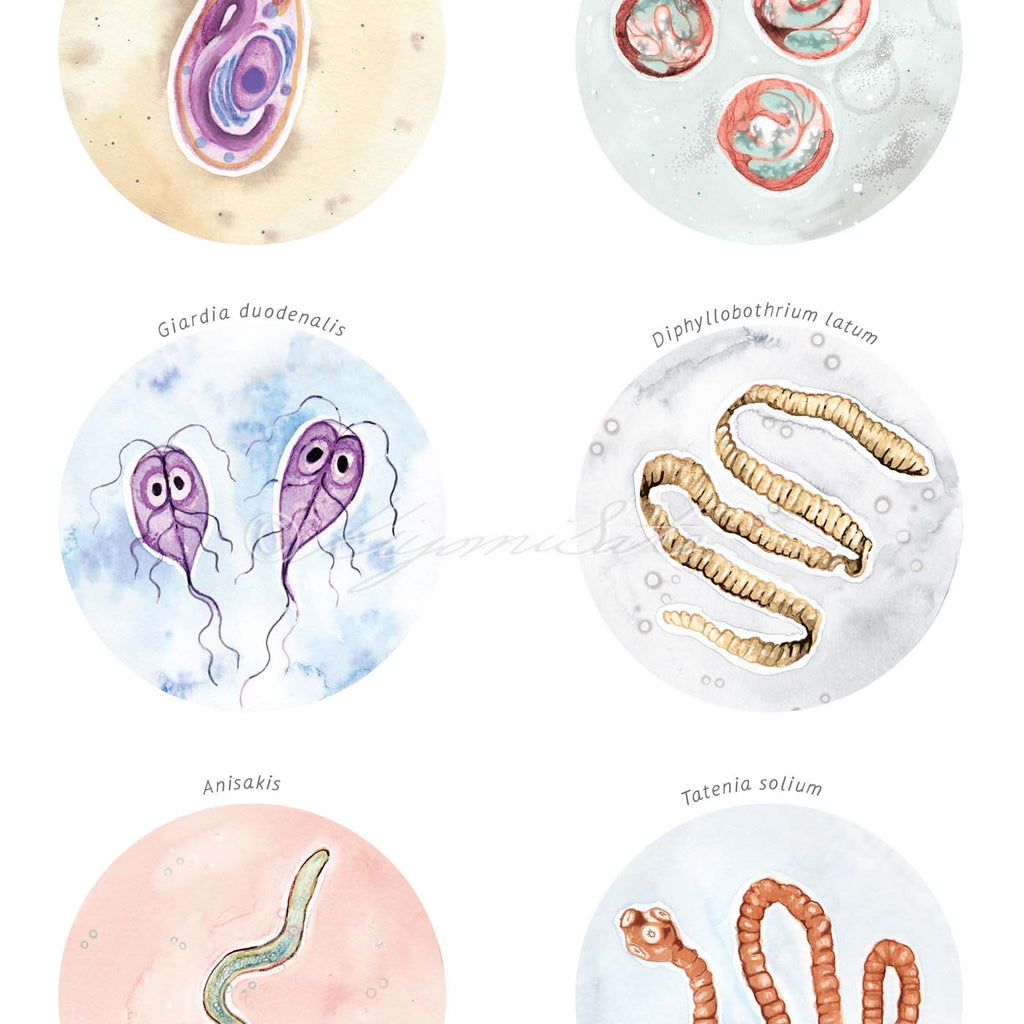 Foodborne Parasites Collection