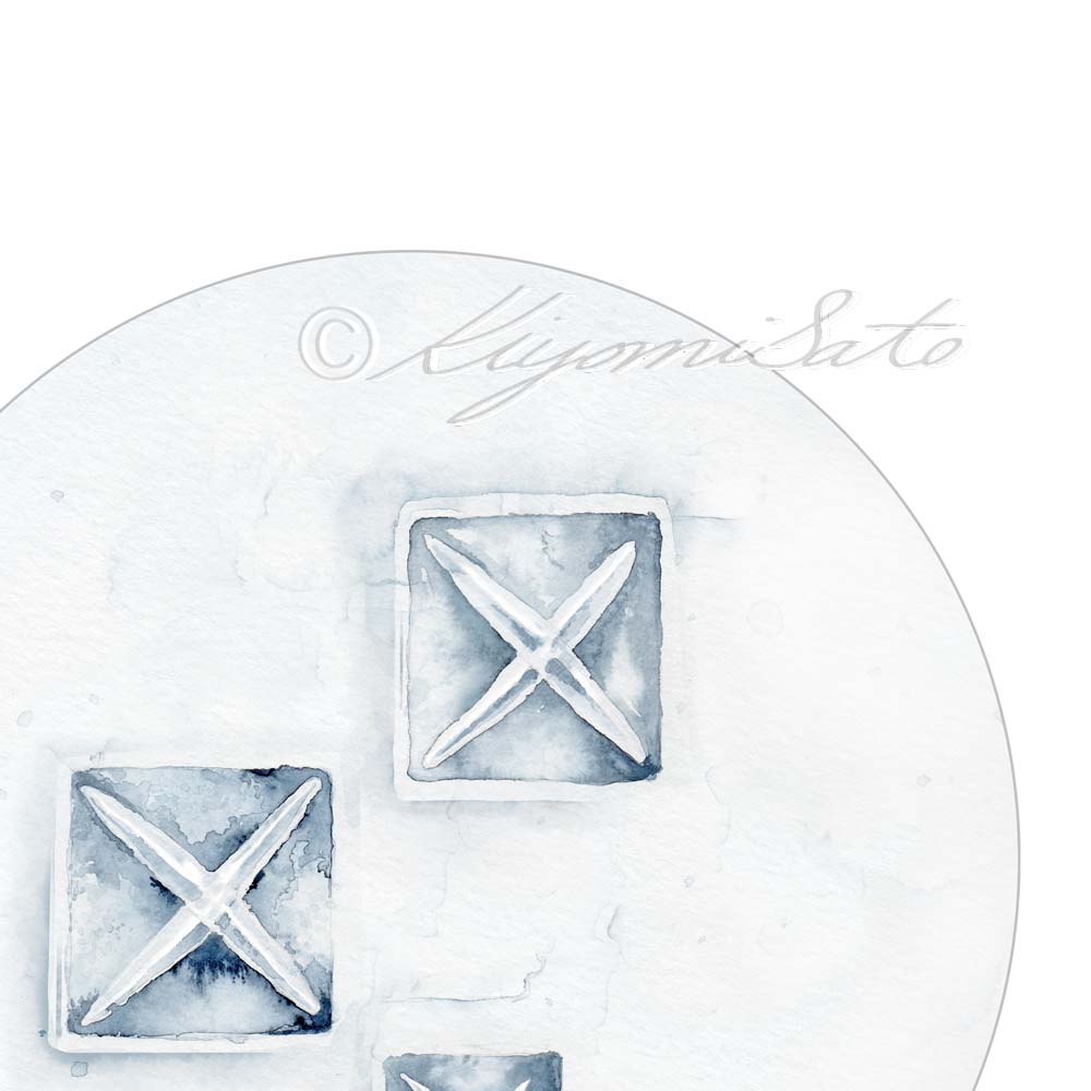 Calcium Oxalate Urine Crystals