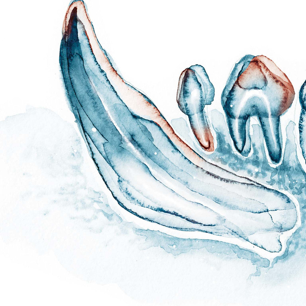 Endodontics Dentistry Art