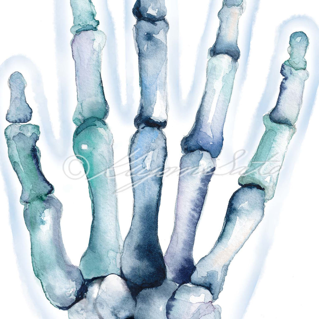Abstract Art Hand Bones Posterior View