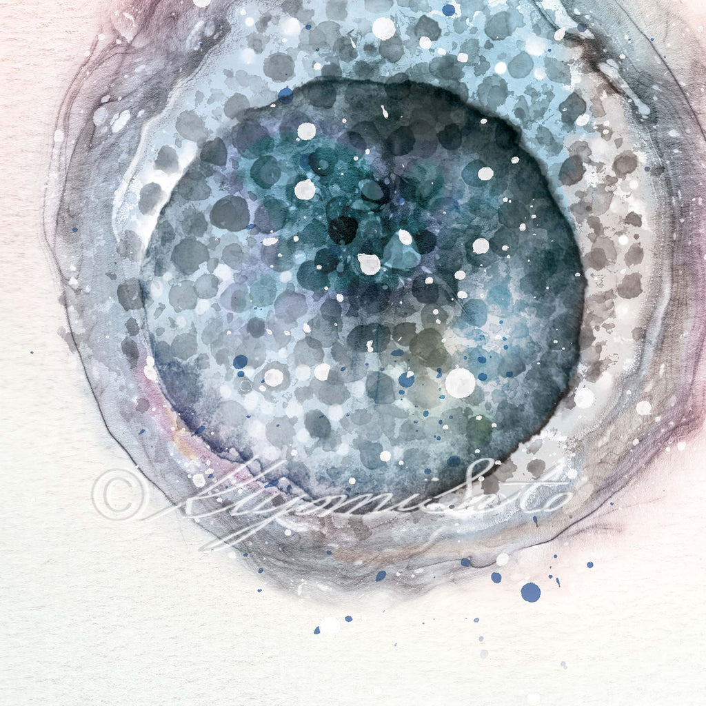 Mast Cell