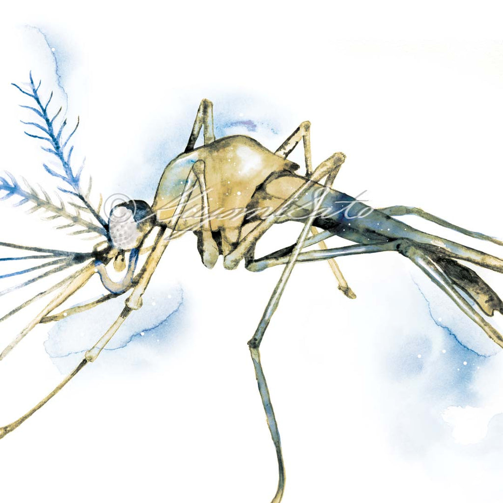 Mosquito Art Poster Set of 2