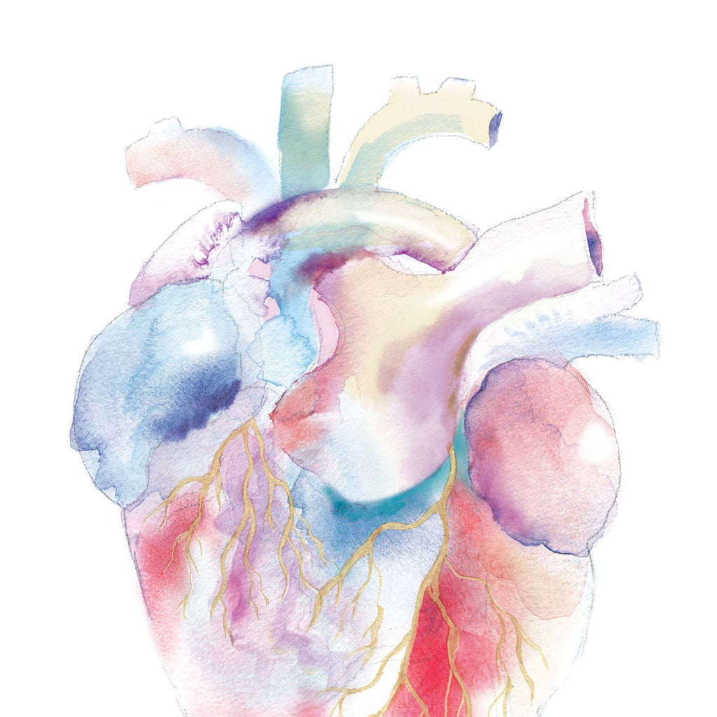 Human Heart Watercolor