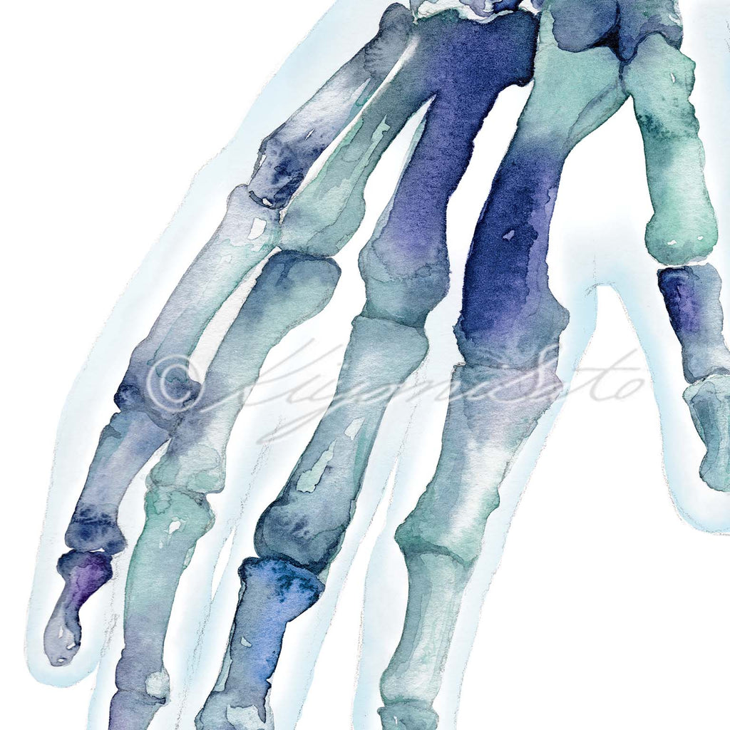 Hand Bones Posters Set of 3